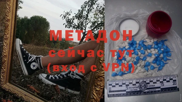 дурь Алексин