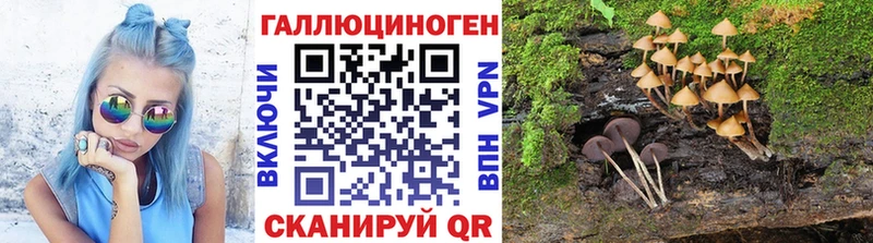Псилоцибиновые грибы GOLDEN TEACHER Нижняя Салда