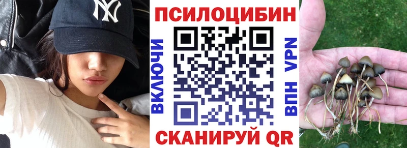 наркотики  мориарти какой сайт  Галлюциногенные грибы Psilocybe  Нижняя Салда 
